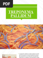 Treponema Pallidum