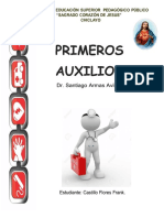 Organizador Visual Primeros Auxilios