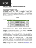 Modelo Derecho de Peticion Caducidad Comparendos