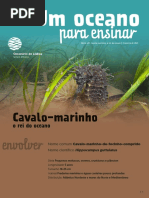 Cavalo-Marinho Revista Oceanário