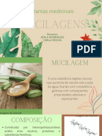 MUCILAGENS