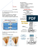 Endodontia Completo 6sem