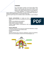 ESPACIO SUBMENTONIANO Anatomia