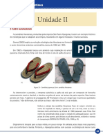 Livro-Texto - Unidade II