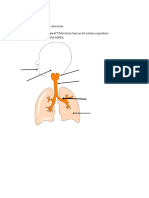 Fisiologia Humana Tarea