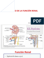 Estudio de La Función Renal - Clase