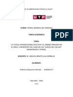 La Tutela Jurisdiccional Efectiva y El Debido Proceso en El Perú, A Propósito Del Caso de Los "Jueces Del Callao" (Hinostroza y Otros) .