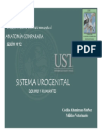 Anatomia Comparada Ap Reprod y Urogenital