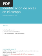 01 Identificando RX Sedimentarias 01