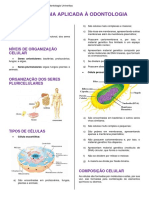 Morfologia Resumo