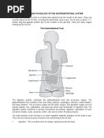 Anatomy and Physiology of The Gastrointestinal System