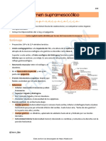 Resumen Anatomia - Abdomen Supramesocolico