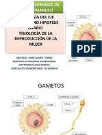 Fisiologia Eje Hipotalamo Hipofifi Ovario