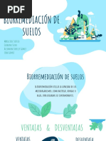 BIORREMEDIACIÓN DE SUELOS - EXPO Micro