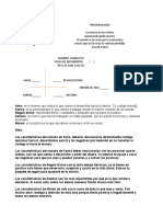 Copia de Info Larga Numerología Despierta