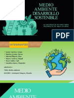 Mapa Conceptual - Medio Ambiente