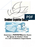 Livro Senhor Espírito Santo