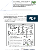 Evaluacion Ii Quimestre, Noveno Ciencias Naturales, Eloy Alfaro 2021-2022