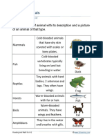 Types of Animals: Grade 2 Science Worksheet