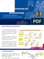 Experimentos en Procariotas. Clonación de Mamíferos. Técnica de Transferencia Nuclear