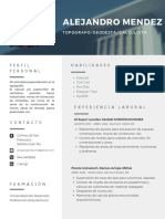 AMG Profesional Curriculum Vitae 2022