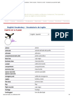 English Vocabulary - Parts of A Plane - Partes de Un Avión - Vocabulario para Aprender Inglés