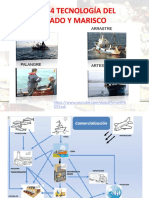 Tema 3.4 Tecnología Del Pescado