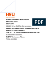 Actividad de Aprendizaje 1 Identificacion de Variables para El Analisis Microeconomico