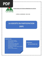 Societe en Participation