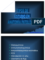 Tema 4 Estudios en Patología General