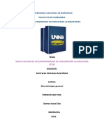 Virus Causantes de Enfermedades de Transmisión Alimentaria (Eta)