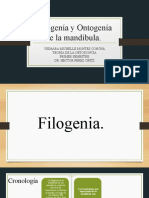 Filogenia y Ontogenia.