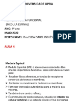 4-Medula Espinal Aula2021