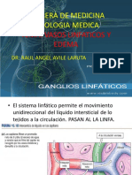 Diapo 2021 - Fisiología Del Sistema Linfático