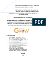 Estructura de Informe Plan Grupal de Actividades Grow