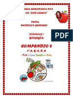 Compendio 8