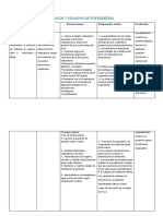 Plan de Cuidados de Pae