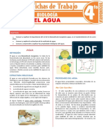 4°sec-El Agua