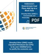 IEEFA Presentation - Indonesia's Downstream Coal Plans Add Up To A Black Hole - Jan 22