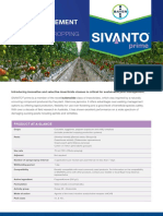 Sivanto Prime Pest Management Guide Protected Cropping Tomato Hero