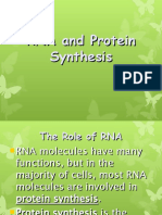 RNA and Protein Synthesis