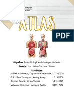 Atlas Trabajo Final