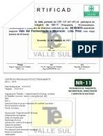 Certificado Treinamento de Reciclagem Da NR-11