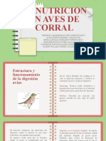 Aves de Corral