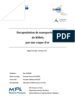 Encapsulation de Nanoparticules de KNbO3 Par Une Coque D'or - Marc DUBLED