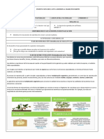 Guia Naturales #7 Tercer Periodo Reproducción en Plantas