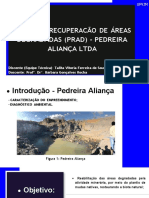 PLANO DE RECUPERACÃO DE ÁREAS DEGRADADAS (PRAD) - PEDREIRA ALIANÇA LTDA - Talita Vitoria F. S PDF