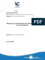 Bases para La Enseñanza de Las Ciencias Sociales en El Nivel Primario.