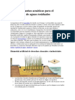 El Uso de Plantas Acuáticas para El Tratamiento de Aguas Residuales