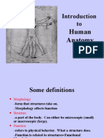 Introduction To Human Anatomy